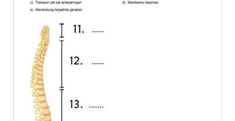 Terbongkar! Rahasia Kuasai Quizizz Ujian Sekolah IPA Kelas 6 2026 Sebelum Terlambat