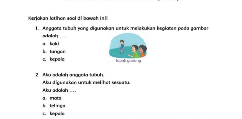 Ternyata Ini 5 Contoh Soal Bahasa Indonesia Kelas 4 Tema 1 Subtema 3